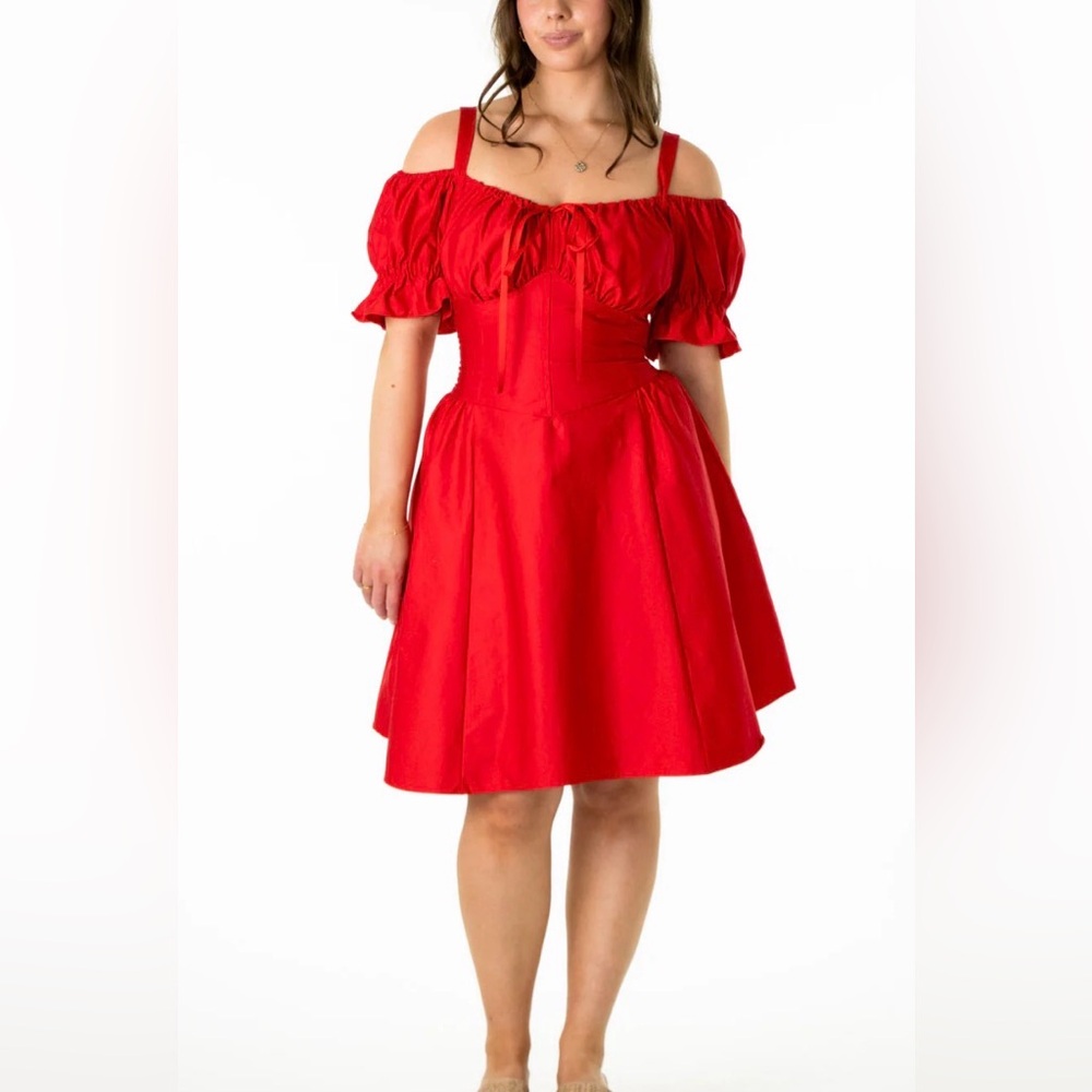 Aulieude Layla Ted Corset Dress (3X) - Picture 3 of 10